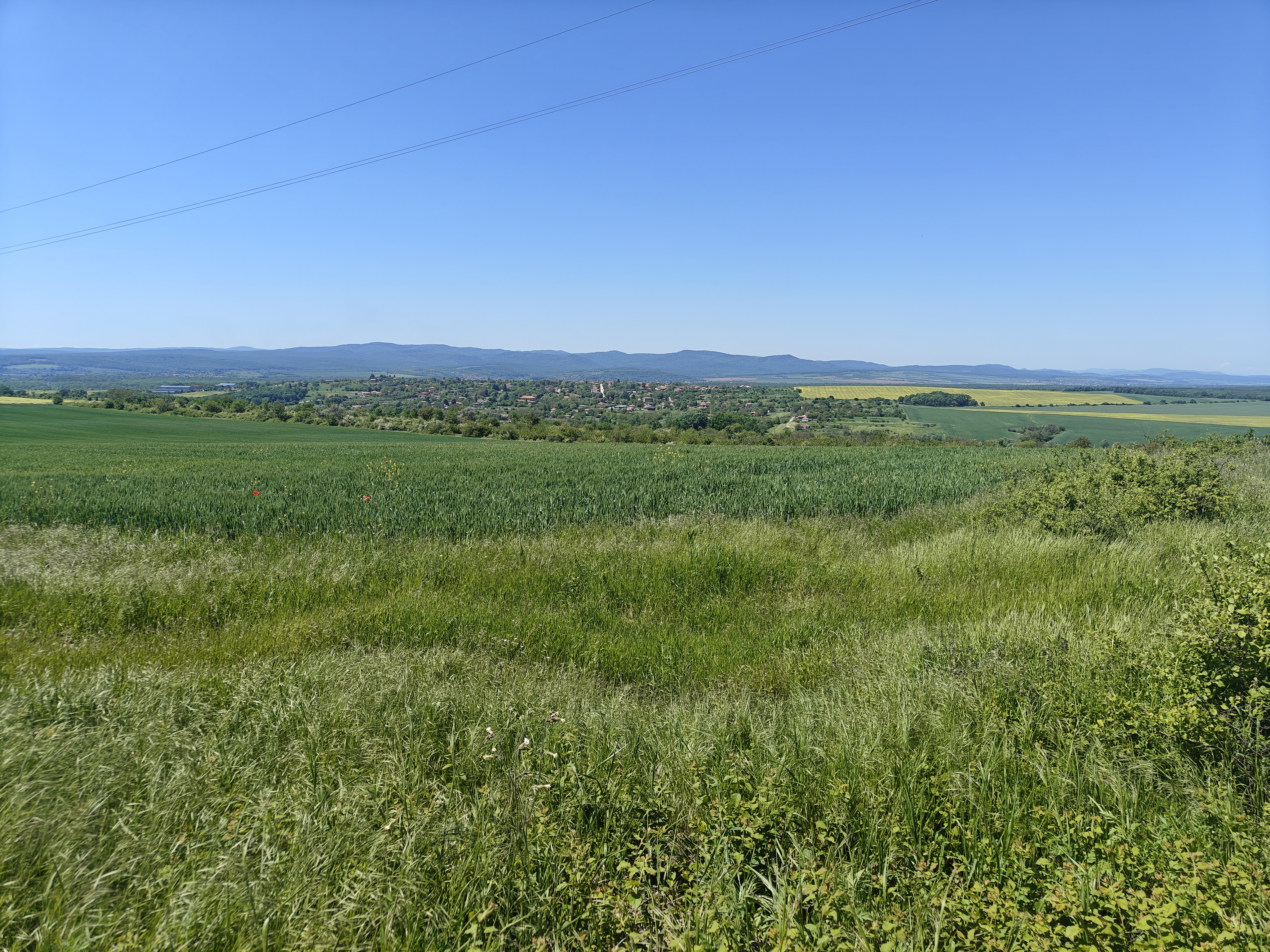Landscape