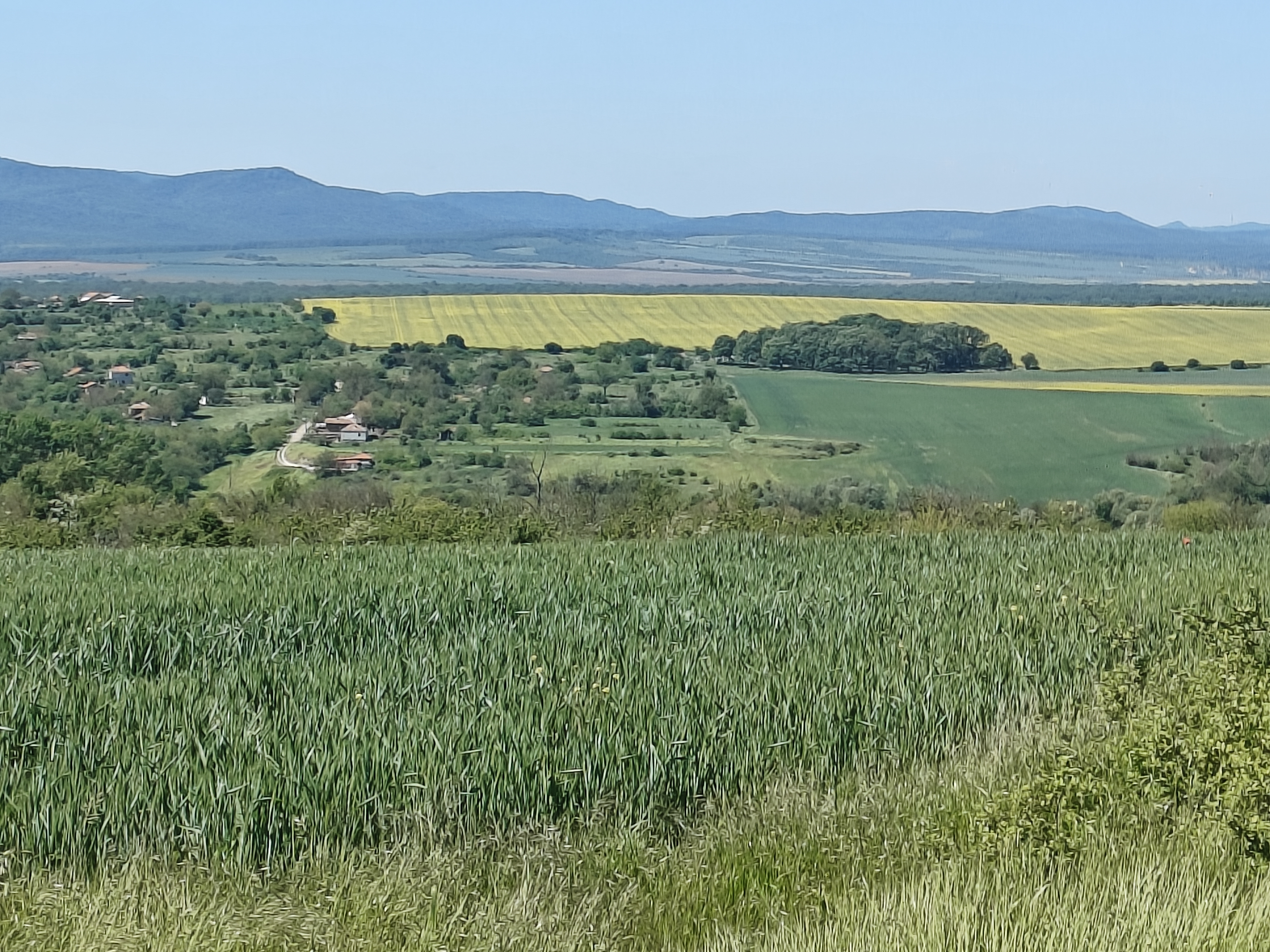 What felt different in Venelin