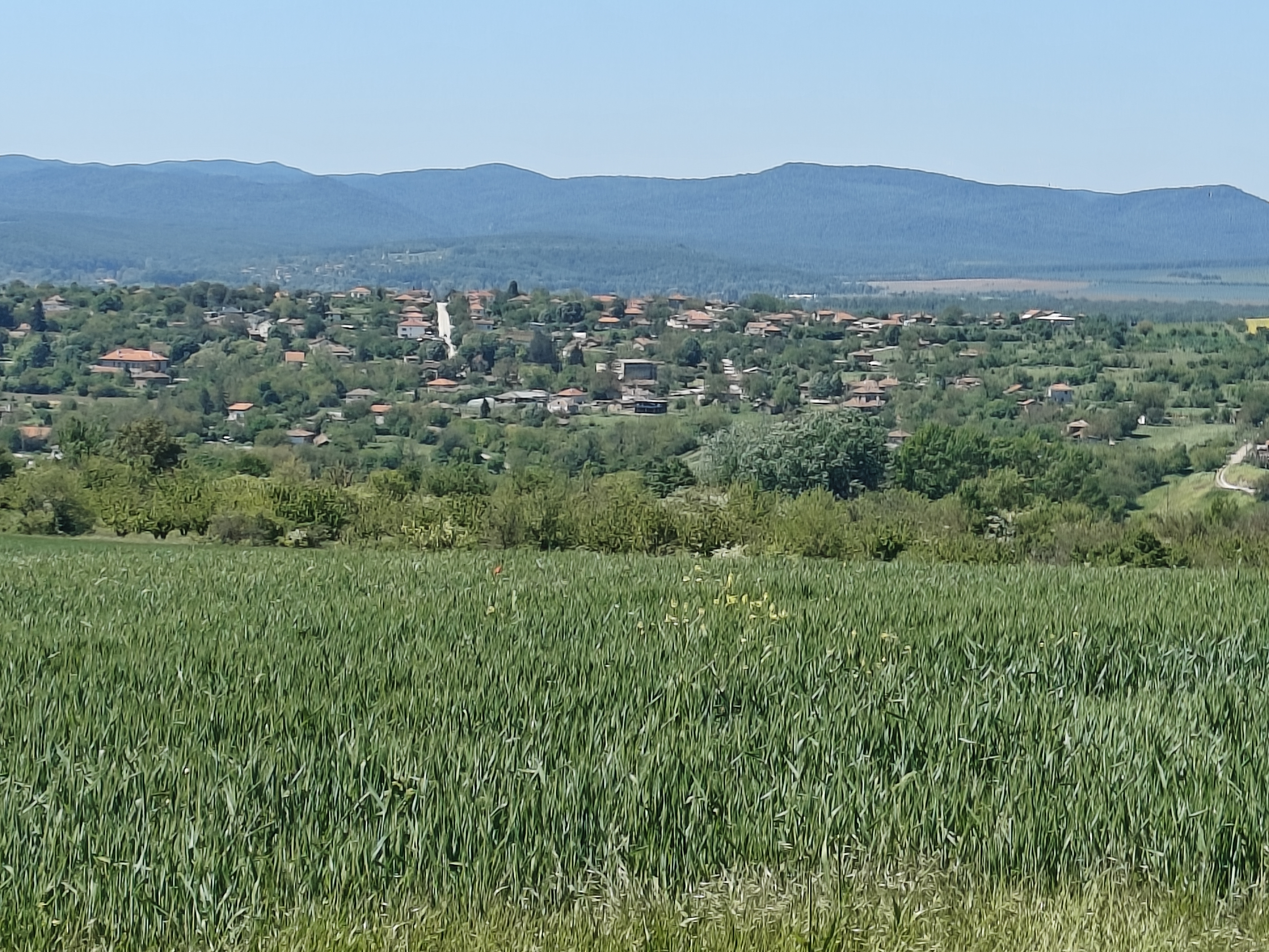 In and around the village
