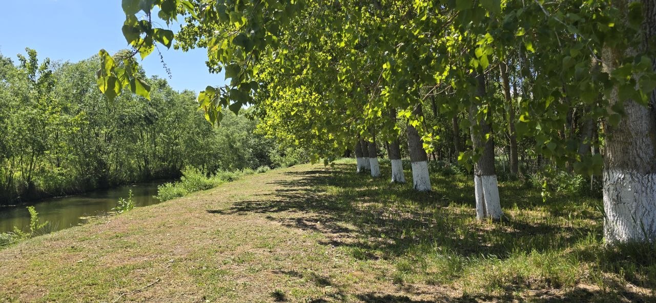 Countryside near Varna