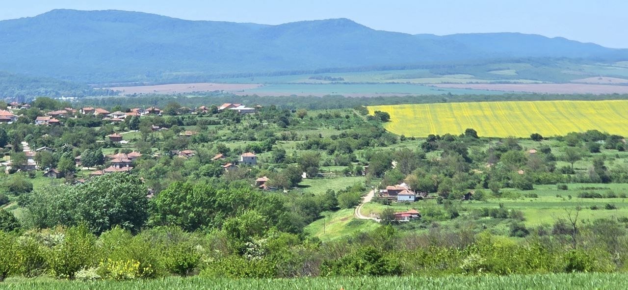 Fields near Venelin