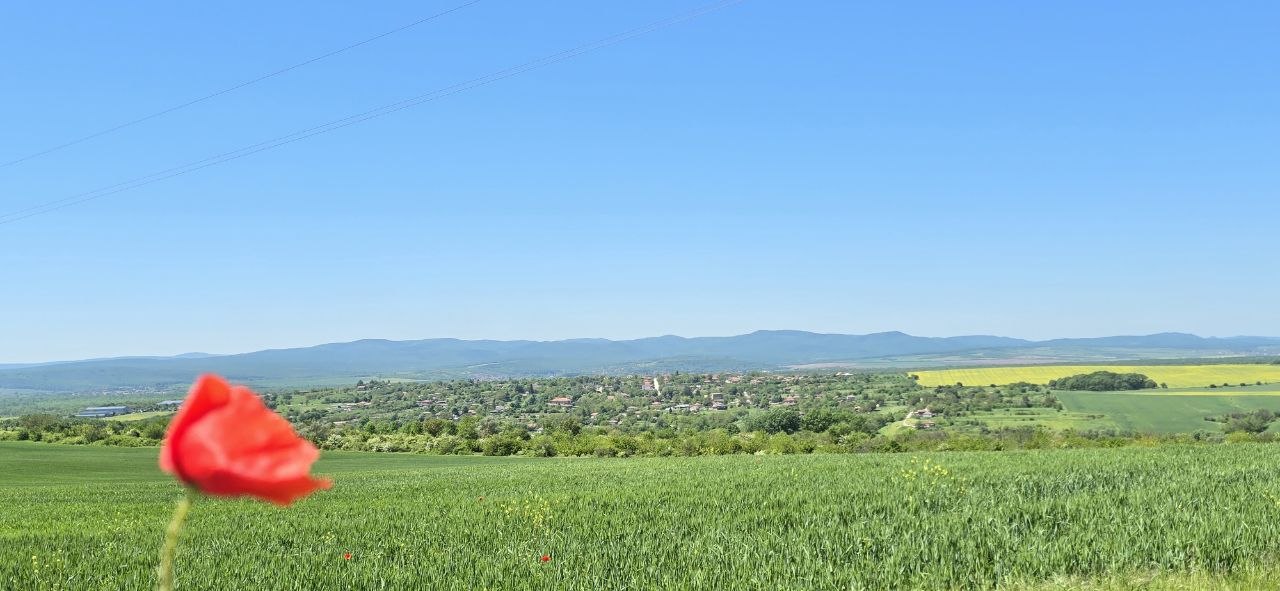 Nature around Venelin